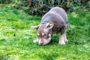 Julien SESIA - Julien-Sésia-Photographie©